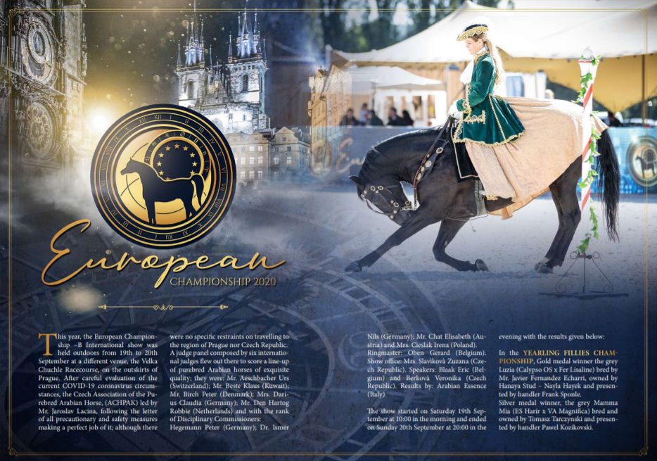 Article in Arabian Horse Magazine about European Championship Prague 2020