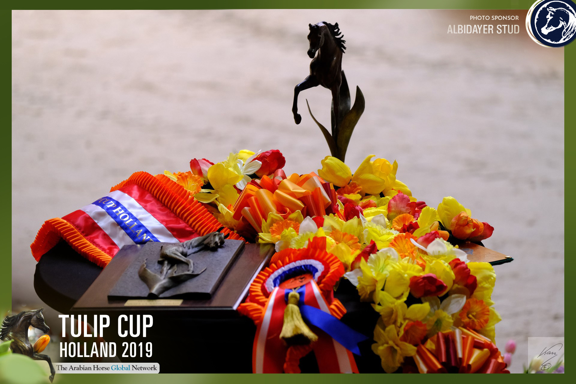 tulip-cup-holland-2019